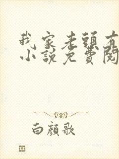 我家老头有点多小说免费阅读无弹窗