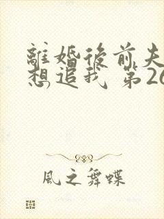 离婚后前夫总是想追我 第260章封面