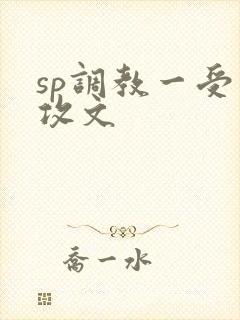 sp调教一受多攻文