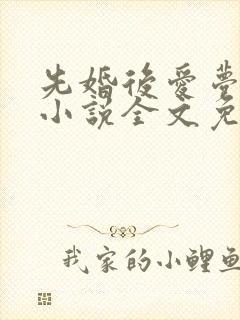 先婚后爱梦筱二小说全文免费阅读封面
