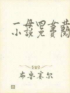 一母四女共一婿小说免费阅读胡本兴