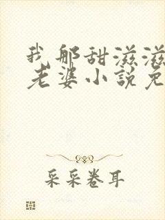 我那甜滋滋又多老婆小说免费阅读