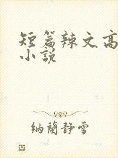 短篇辣文高h文小说