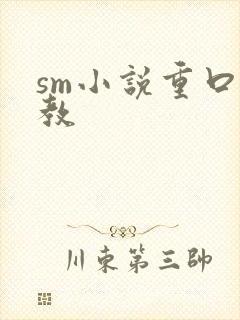 sm小说重口调教