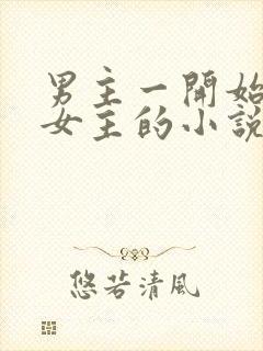 男主一开始厌恶女主的小说封面