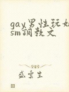 gay男性玩奴sm调教文