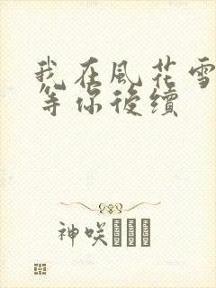我在风花雪月里等你后续