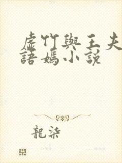 虚竹与王夫人王语嫣小说