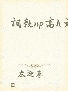 调教np高h文