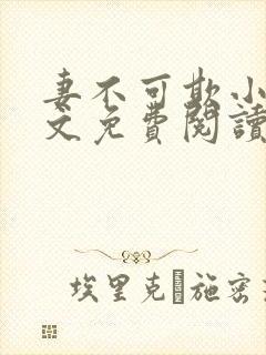 妻不可欺小说全文免费阅读封面