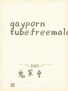 gayporntubefreemalesexvideo封面