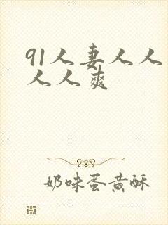 91人妻人人妻人人爽