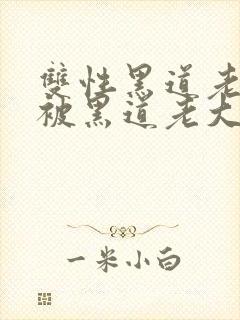 双性黑道老大受被黑道老大掳