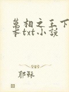 万相之王下载全本txt小说