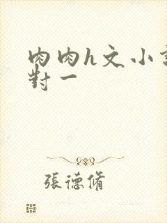 肉肉h文小说一对一