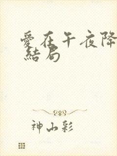 爱在午夜降临前 结局封面