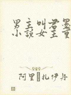 男主叫君墨寒的小说女主重生封面