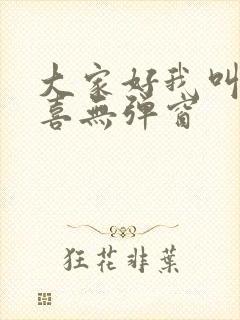 大家好我叫林小喜无弹窗