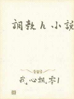 调教 h 小说封面