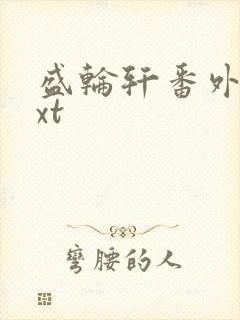 盛轮轩番外篇txt