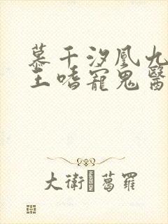 慕千汐凰九夜邪王嗜宠鬼医狂妃免费阅读