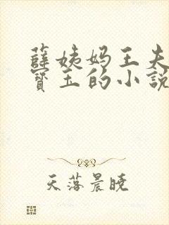 薛姨妈王夫人贾宝玉的小说