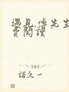 遇见,傅先生免费阅读