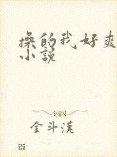 操的我好爽哥哥小说封面