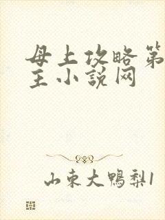 母上攻略第一版主小说网
