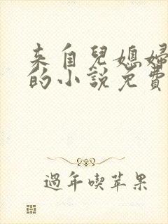 来自儿媳妇的爱的小说免费阅读