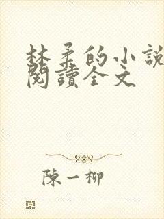 林柔的小说在线阅读全文