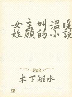 女主叫温暖男主姓顾的小说封面