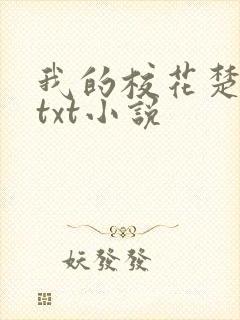 我的校花楚雅柔txt小说