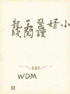 龙王医婿小说在线阅读