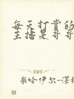 每天打赏的sq主播是哥哥 小说