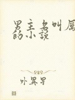 男主名叫厉景琛的小说