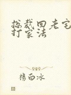 总裁回老宅罚挨打家法封面