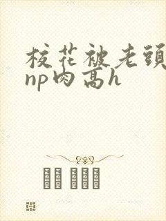 校花被老头强迫np肉高h