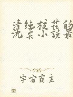 清纯校花的日常沈柔小说最新章节更