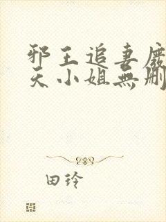 邪王追妻废材逆天小姐无删减