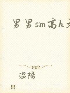 男男sm高h文