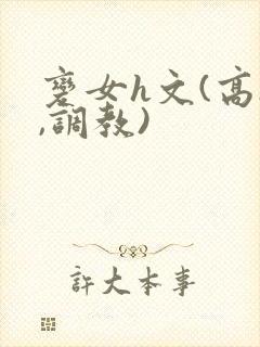 变女h文(高h,调教)