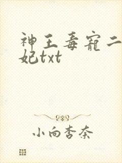 神王毒宠二嫁王妃txt封面