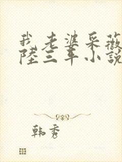 我老婆采薇养父陆三平小说在人间