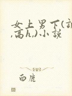 女上男下(调教,高h,)小说