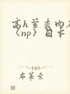 高h荤爽肉欲文〈np〉日本