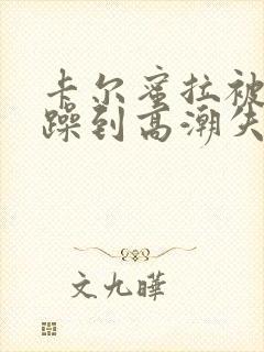 卡尔蜜拉被狂c躁到高潮失禁小说