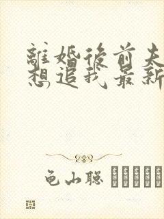 离婚后前夫总是想追我最新章节目录封面