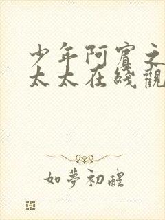 少年阿宾之房东太太在线观看