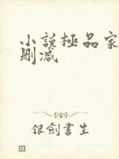 小说极品家丁无删减